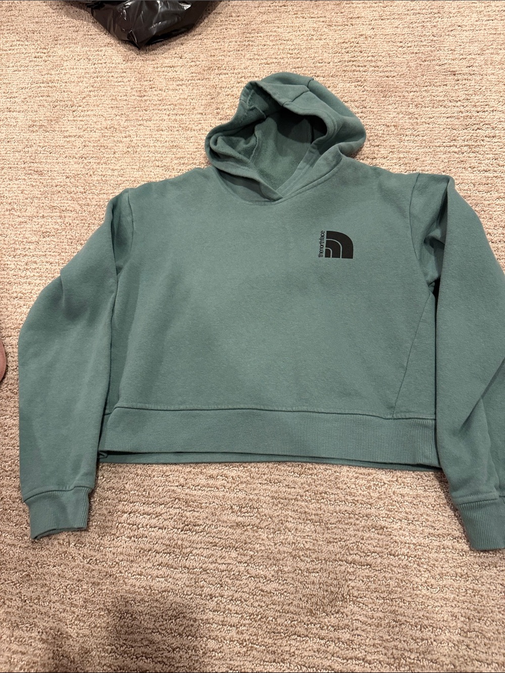 The North Face Women's Teal Cropped Hoodie Sweatshirt